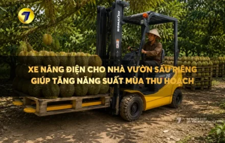 Mua xe nâng điện nâng sầu riêng